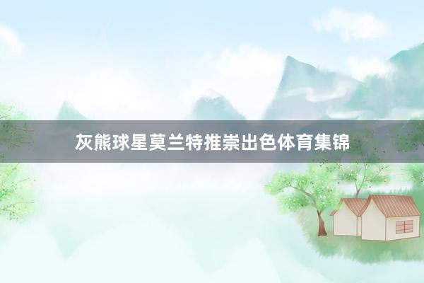 灰熊球星莫兰特推崇出色体育集锦