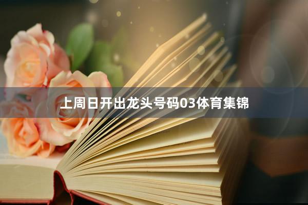 上周日开出龙头号码03体育集锦