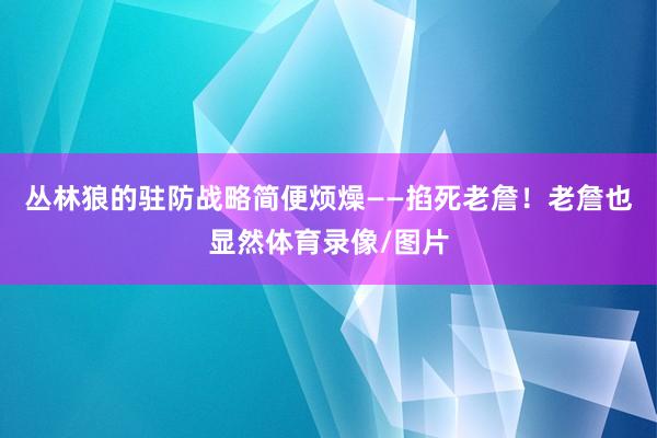 丛林狼的驻防战略简便烦燥——掐死老詹！老詹也显然体育录像/图片