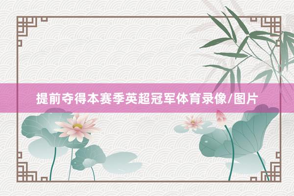 提前夺得本赛季英超冠军体育录像/图片