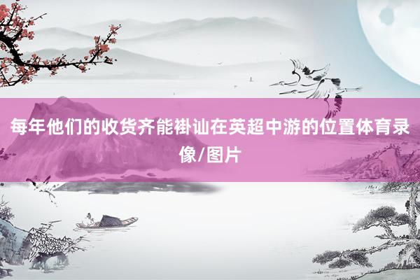 每年他们的收货齐能褂讪在英超中游的位置体育录像/图片