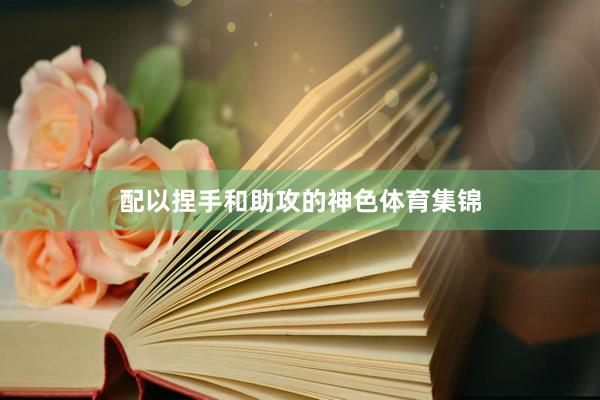 配以捏手和助攻的神色体育集锦