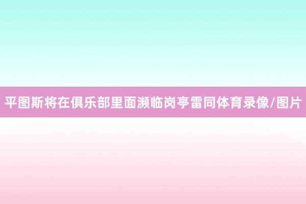 平图斯将在俱乐部里面濒临岗亭雷同体育录像/图片