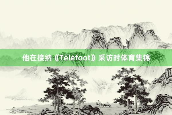 他在接纳《Téléfoot》采访时体育集锦