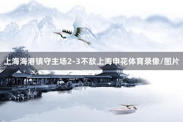 上海海港镇守主场2-3不敌上海申花体育录像/图片