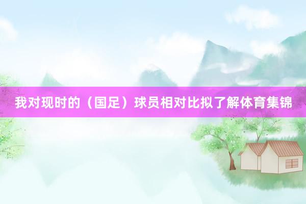 我对现时的（国足）球员相对比拟了解体育集锦