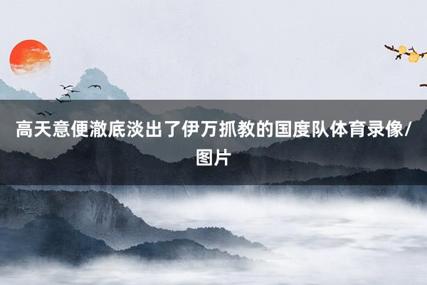 高天意便澈底淡出了伊万抓教的国度队体育录像/图片