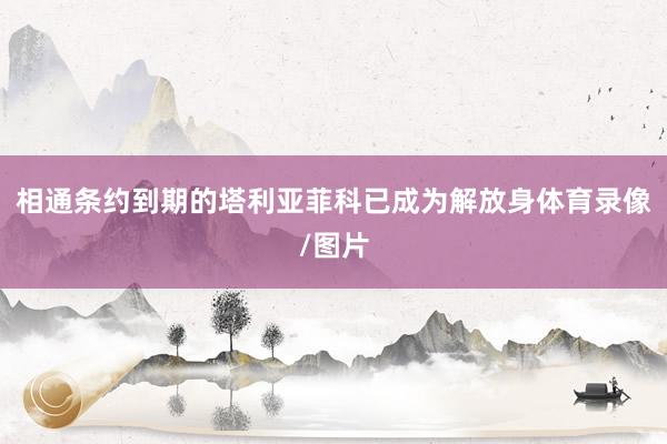 相通条约到期的塔利亚菲科已成为解放身体育录像/图片