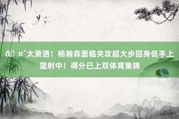 🤯太萧洒！杨瀚森面临夹攻超大步回身低手上篮射中！得分已上双体育集锦