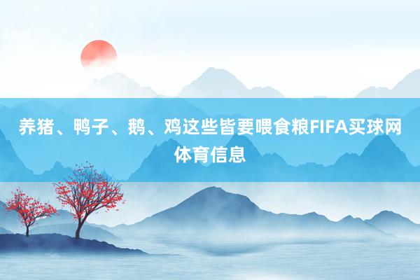 养猪、鸭子、鹅、鸡这些皆要喂食粮FIFA买球网体育信息