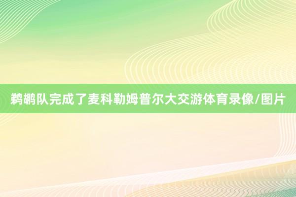鹈鹕队完成了麦科勒姆普尔大交游体育录像/图片