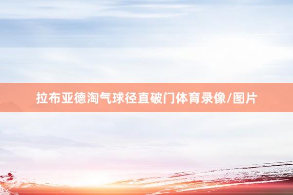 拉布亚德淘气球径直破门体育录像/图片