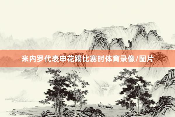 米内罗代表申花踢比赛时体育录像/图片