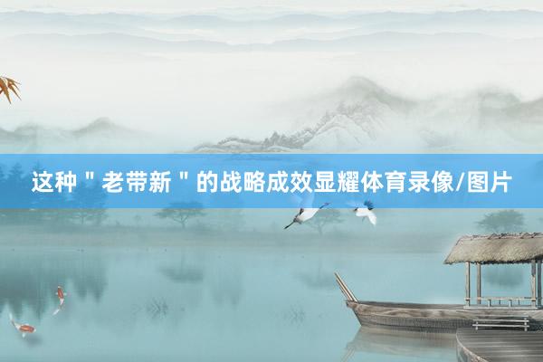 这种＂老带新＂的战略成效显耀体育录像/图片