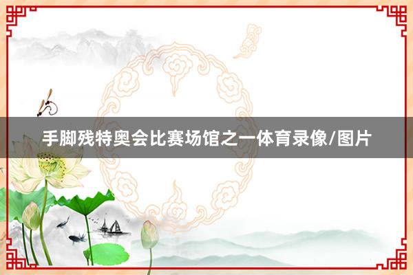 手脚残特奥会比赛场馆之一体育录像/图片