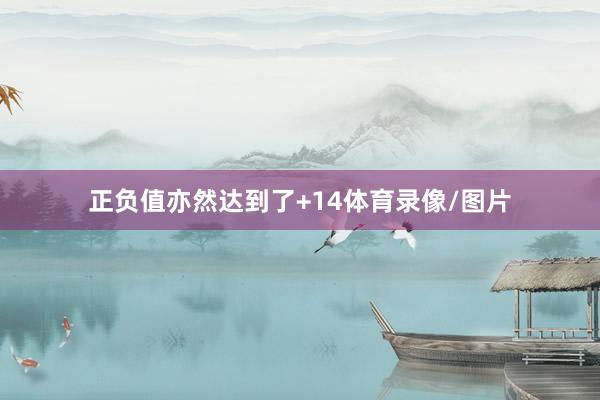 正负值亦然达到了+14体育录像/图片