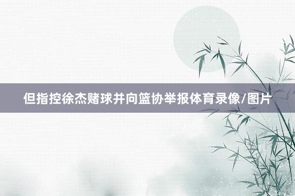 但指控徐杰赌球并向篮协举报体育录像/图片