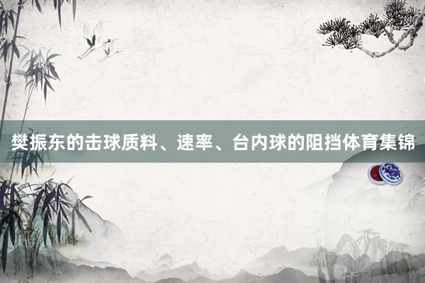樊振东的击球质料、速率、台内球的阻挡体育集锦