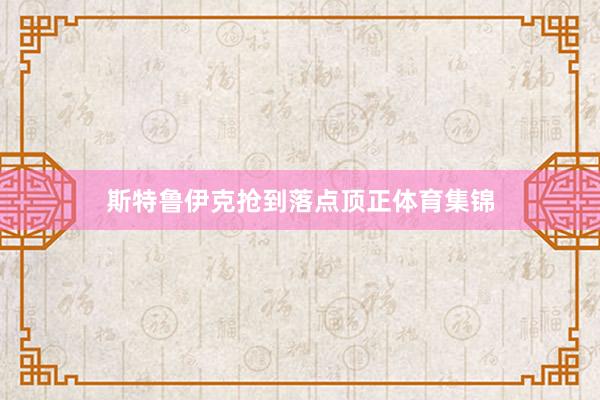斯特鲁伊克抢到落点顶正体育集锦