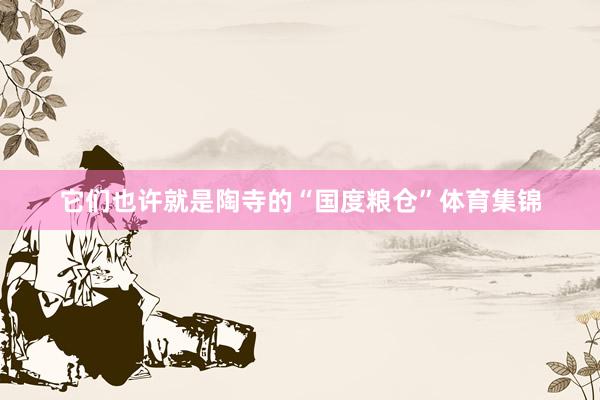 它们也许就是陶寺的“国度粮仓”体育集锦