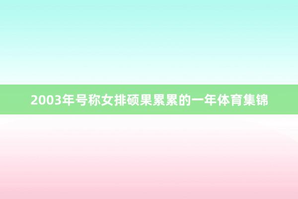 2003年号称女排硕果累累的一年体育集锦