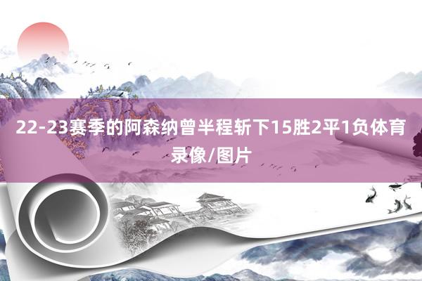 22-23赛季的阿森纳曾半程斩下15胜2平1负体育录像/图片