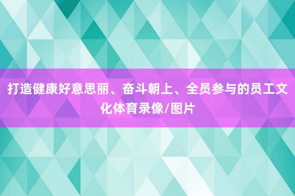 打造健康好意思丽、奋斗朝上、全员参与的员工文化体育录像/图片