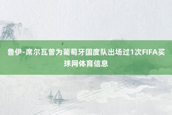 鲁伊-席尔瓦曾为葡萄牙国度队出场过1次FIFA买球网体育信息