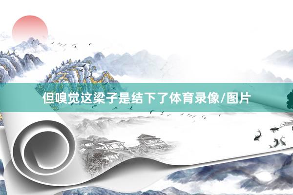 但嗅觉这梁子是结下了体育录像/图片