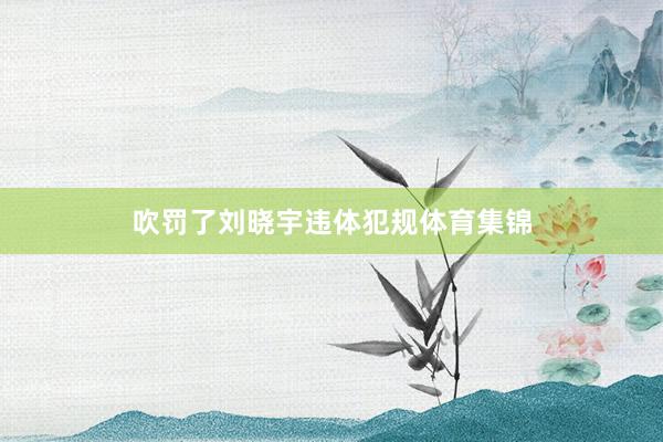 吹罚了刘晓宇违体犯规体育集锦