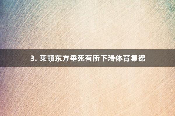 3. 莱顿东方垂死有所下滑体育集锦