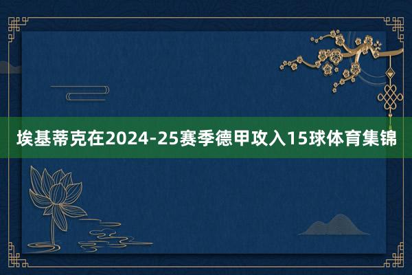 埃基蒂克在2024-25赛季德甲攻入15球体育集锦