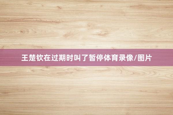 王楚钦在过期时叫了暂停体育录像/图片