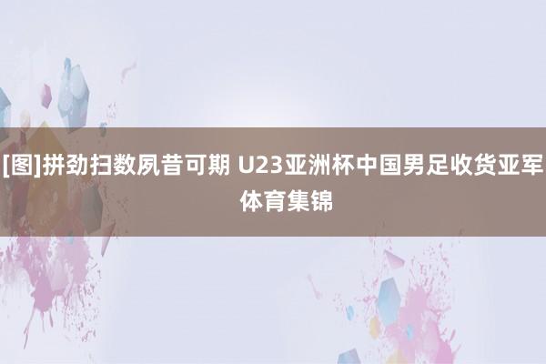 [图]拼劲扫数夙昔可期 U23亚洲杯中国男足收货亚军    体育集锦
